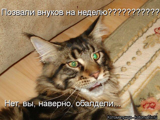 Позвали внуков на неделю???????????? Нет, вы, наверно, обалдели...... Котоматрица: Позвали внуков на неделю???????????? Нет, вы, наверно, обалдели...