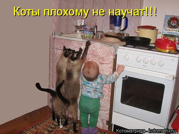Коты плохому не научат!!!... Котоматрица: Коты плохому не научат!!!
