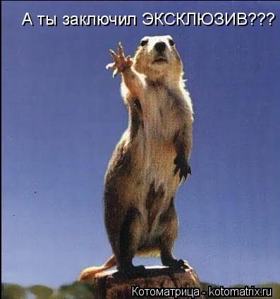 А ты заключил ЭКСКЛЮЗИВ???... Котоматрица: А ты заключил ЭКСКЛЮЗИВ???