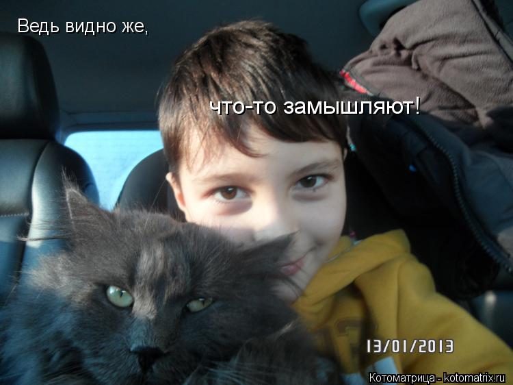 Ведь видно же, что-то замышляют!... Котоматрица: Ведь видно же, что-то замышляют!