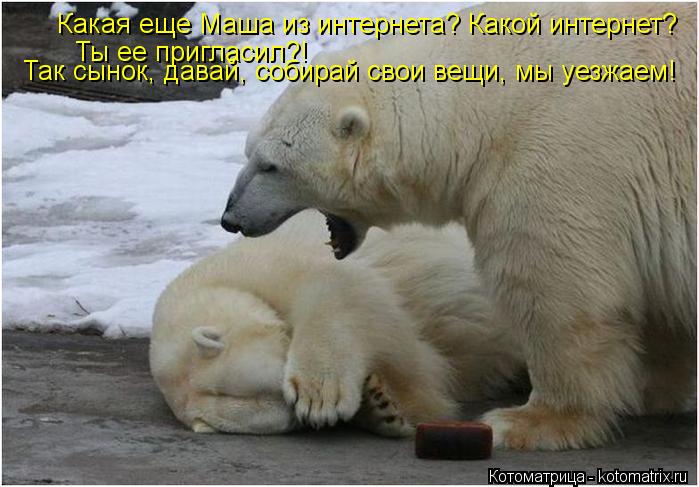 Какая еще Маша из интернета? Какой интернет? Ты ее пригласил?! Так сынок, давай, собирай свои вещи, м... Котоматрица: Какая еще Маша из интернета? Какой интернет? Ты ее пригласил?! Так сынок, давай, собирай свои вещи, мы уезжаем!