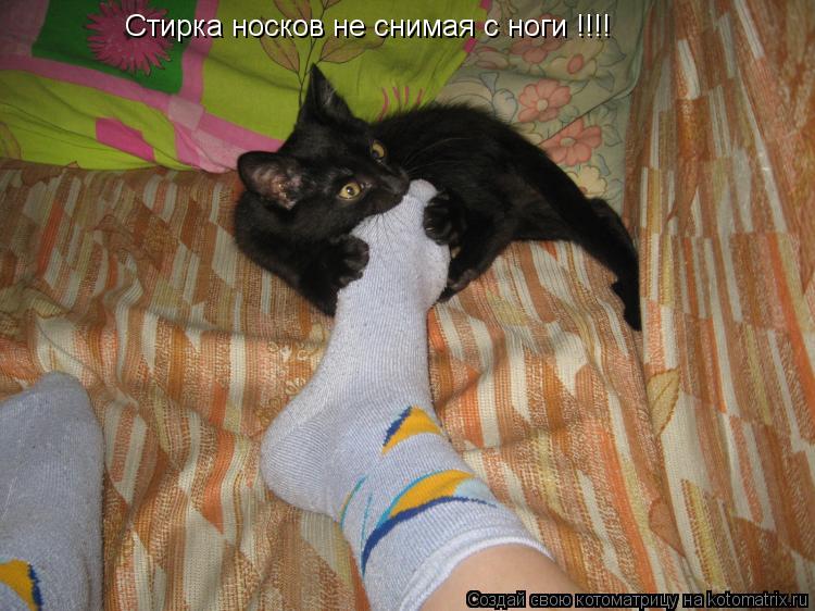 Стирка носков не снимая с ноги !!!!... Котоматрица: Стирка носков не снимая с ноги !!!!