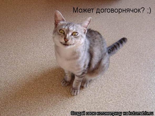 Может договорнячок? ;)... Котоматрица: Может договорнячок? ;)