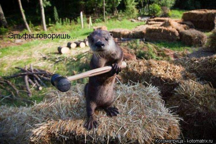 Эльфы,говоришь...... Котоматрица: Эльфы,говоришь...