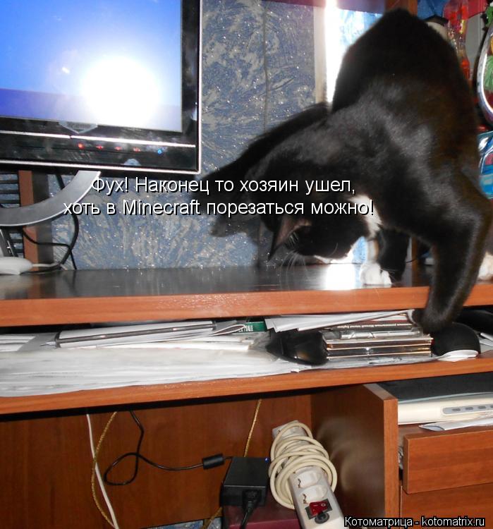 Фух! Наконец то хозяин ушел, хоть в Minecraft порезаться можно!... Котоматрица: Фух! Наконец то хозяин ушел, хоть в Minecraft порезаться можно!