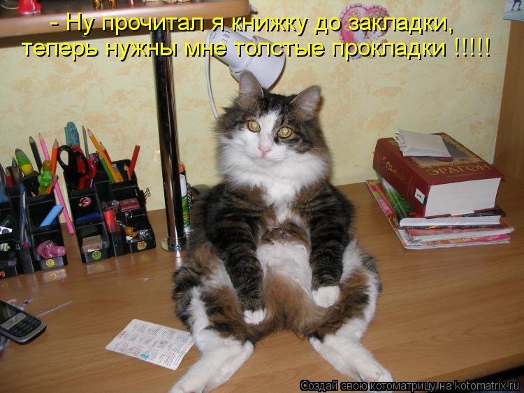 - Ну прочитал я книжку до закладки, - Ну прочитал я книжку до закладки, теперь нужны мне толстые пр... Котоматрица: - Ну прочитал я книжку до закладки, - Ну прочитал я книжку до закладки, теперь нужны мне толстые прокладки !!!!!