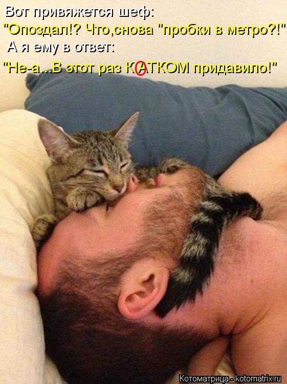 "Опоздал!? Что,снова "пробки в метро?!" Вот привяжется шеф: А я ему в ответ: "Не-а...В этот раз К АТК... Котоматрица: "Опоздал!? Что,снова "пробки в метро?!" Вот привяжется шеф: А я ему в ответ: "Не-а...В этот раз К АТКОМ придавило!" О