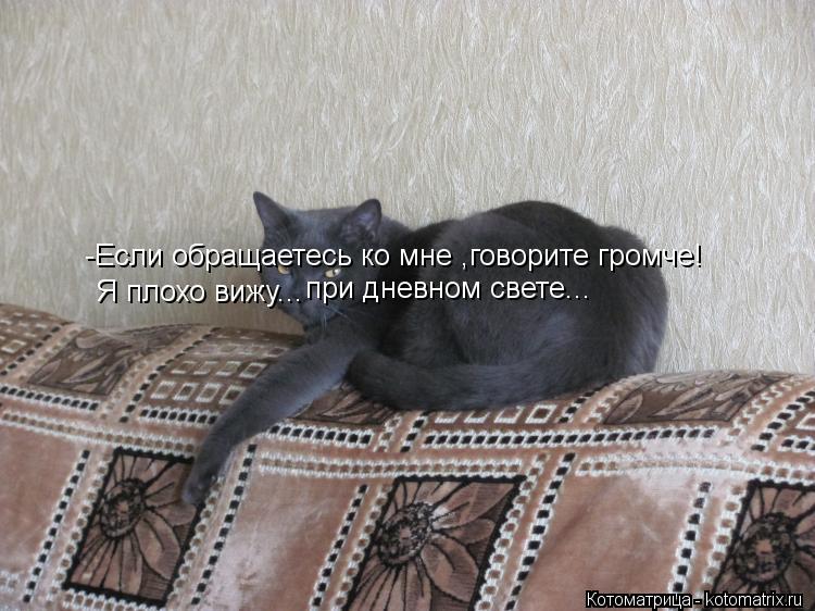-Если обращаетесь ко мне ,говорите громче! Я плохо вижу... при дневном свете...... Котоматрица: -Если обращаетесь ко мне ,говорите громче! Я плохо вижу... при дневном свете...
