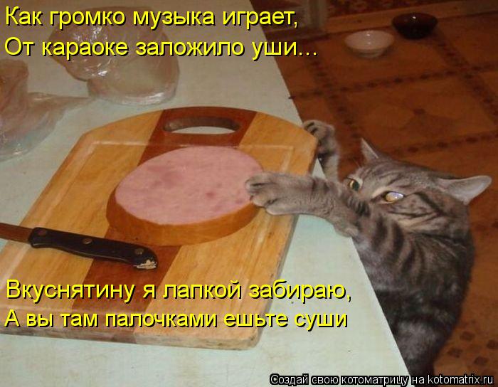 Как громко музыка играет, От караоке заложило уши... Вкуснятину я лапкой забираю, А вы там палочками ... Котоматрица: Как громко музыка играет, От караоке заложило уши... Вкуснятину я лапкой забираю, А вы там палочками ешьте суши