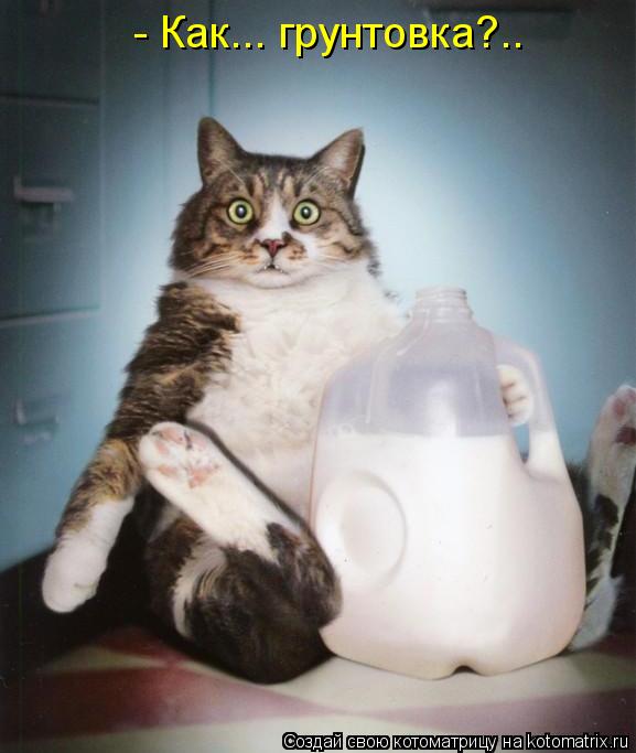 - Как... грунтовка?..... Котоматрица: - Как... грунтовка?..