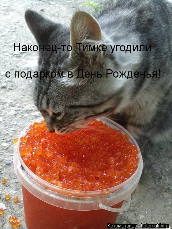 Наконец-то Тимке угодили с подарком в День Рожденья!... Котоматрица: Наконец-то Тимке угодили с подарком в День Рожденья!