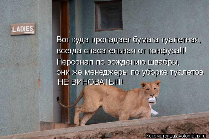 Вот куда пропадает бумага туалетная, всегда спасательная от конфуза!!! они же менеджеры по уборке ту... Котоматрица: Вот куда пропадает бумага туалетная, всегда спасательная от конфуза!!! они же менеджеры по уборке туалетов НЕ ВИНОВАТЫ!!! Персонал по вожден