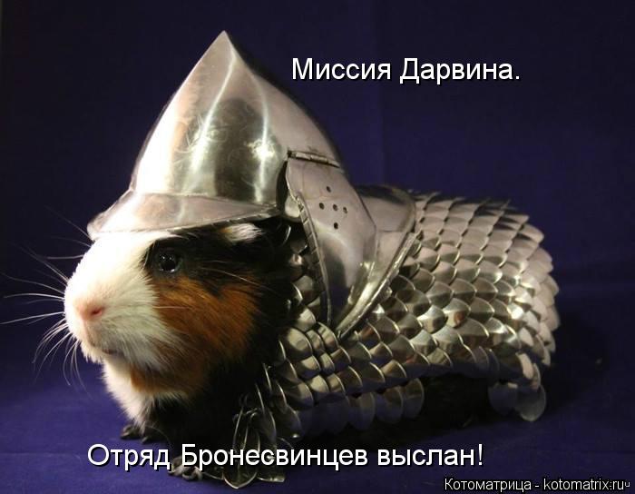 Миссия Дарвина. Отряд Бронесвинцев выслан!... Котоматрица: Миссия Дарвина. Отряд Бронесвинцев выслан!