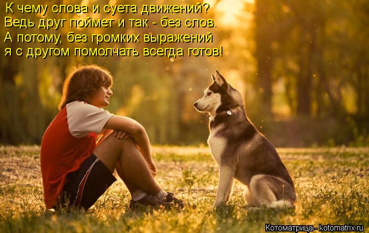 К чему слова и суета движений? Ведь друг поймет и так - без слов. А потому, без громких выражений ... Котоматрица: К чему слова и суета движений? Ведь друг поймет и так - без слов. А потому, без громких выражений я с другом помолчать всегда готов!