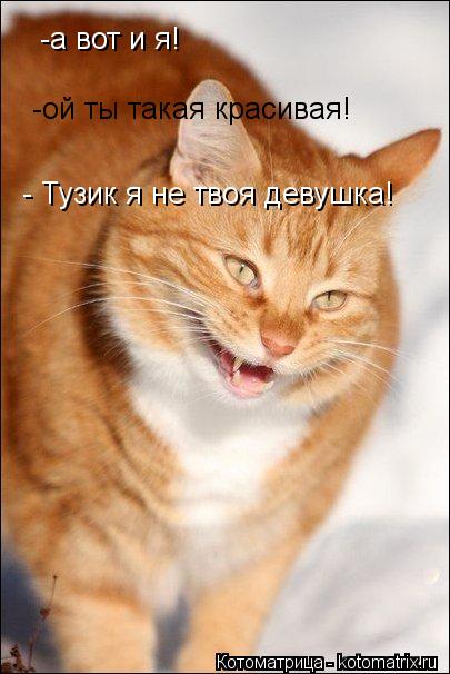 -а вот и я! -ой ты такая красивая! - Тузик я не твоя девушка!... Котоматрица: -а вот и я! -ой ты такая красивая! - Тузик я не твоя девушка!