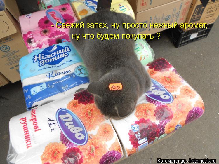 - Свежий запах, ну просто нежный аромат, - Свежий запах, ну просто нежный аромат, ну что будем поку... Котоматрица: - Свежий запах, ну просто нежный аромат, - Свежий запах, ну просто нежный аромат, ну что будем покупать ?