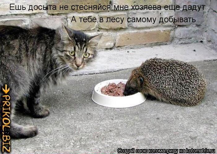 Ешь досыта не стесняйся,мне хозяева еще дадут А тебе в лесу самому добывать... Котоматрица: Ешь досыта не стесняйся,мне хозяева еще дадут А тебе в лесу самому добывать