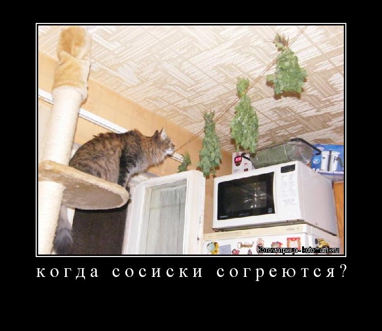 когда сосиски согреются? ... Котоматрица: когда сосиски согреются?