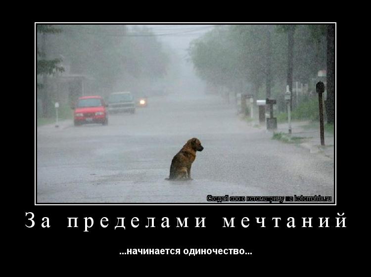 За пределами мечтаний ...начинается одиночество...... Котоматрица: За пределами мечтаний ...начинается одиночество...
