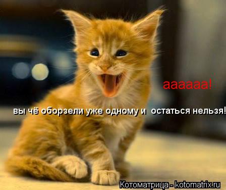 аааааа! вы чё оборзели уже одному и остаться нельзя!... Котоматрица: аааааа! вы чё оборзели уже одному и остаться нельзя!