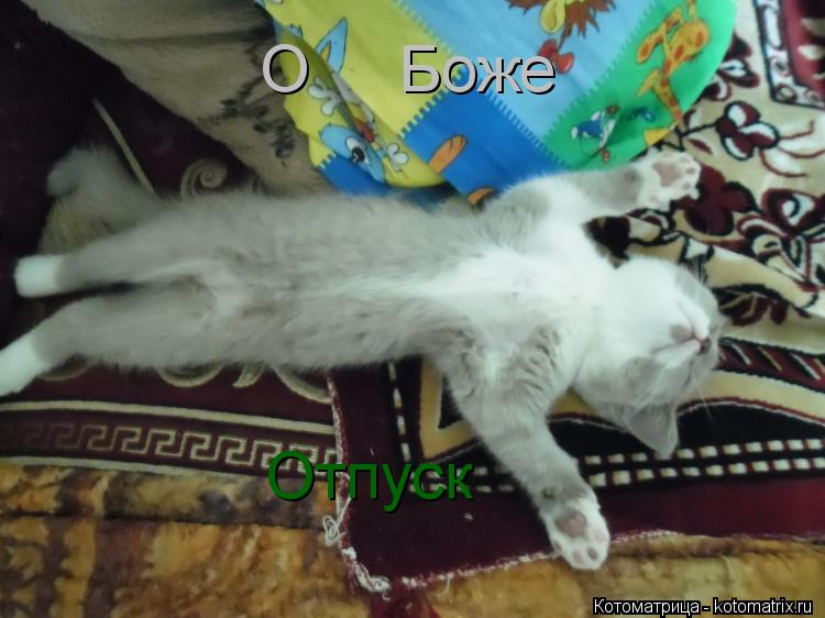 kotomatritsa_89.jpg