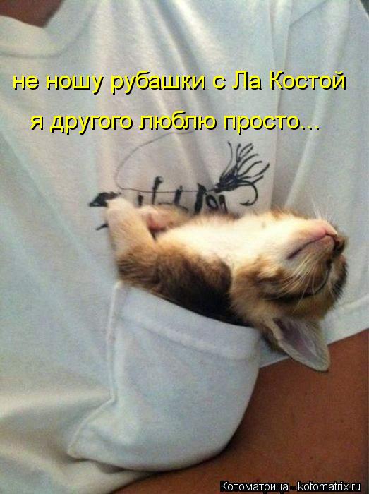 Котоматрица: не ношу рубашки с Ла Костой я другого люблю просто...