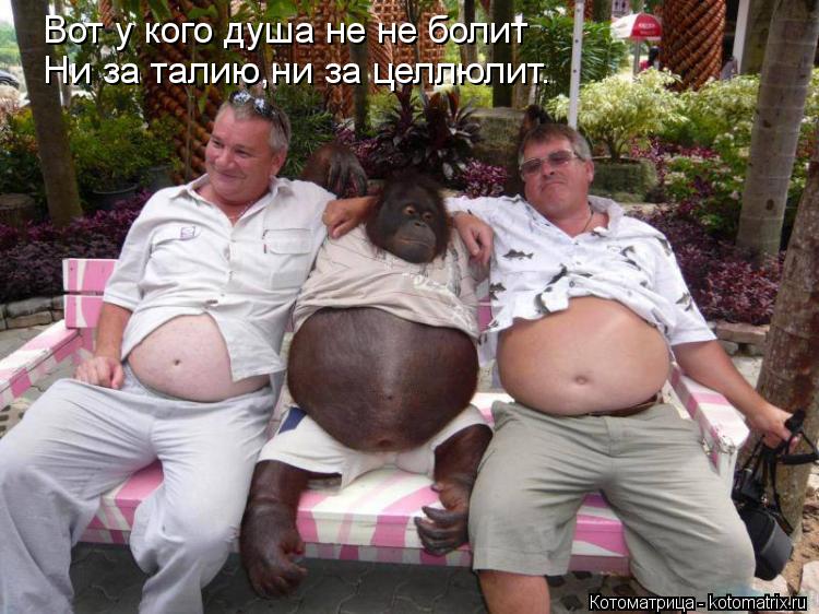 kotomatritsa_BH.jpg
