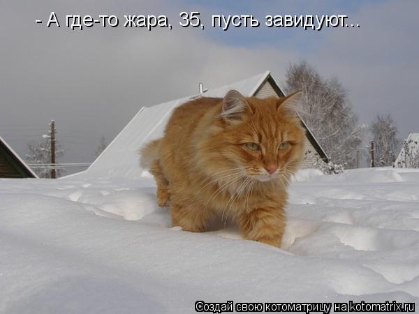 - А где-то жара, 35, пусть завидуют...... Котоматрица: - А где-то жара, 35, пусть завидуют...