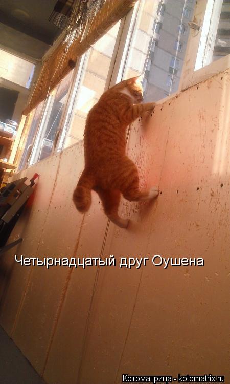 Четырнадцатый друг Оушена... Котоматрица: Четырнадцатый друг Оушена