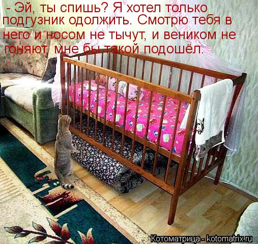 - Эй, ты спишь? Я хотел только подгузник одолжить. Смотрю тебя в него и носом не тычут, и веником не... Котоматрица: - Эй, ты спишь? Я хотел только подгузник одолжить. Смотрю тебя в него и носом не тычут, и веником не гоняют, мне бы такой подошёл.