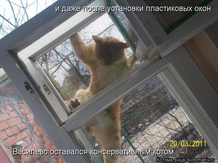 и даже после установки пластиковых окон Василевс оставался консервативным котом.... Котоматрица: и даже после установки пластиковых окон Василевс оставался консервативным котом.