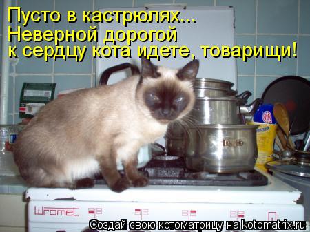 Пусто в кастрюлях... Неверной дорогой к сердцу кота идете, товарищи!... Котоматрица: Пусто в кастрюлях... Неверной дорогой к сердцу кота идете, товарищи!