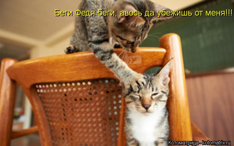 Беги Федя беги, авось да убежишь от меня!!!... Котоматрица: Беги Федя беги, авось да убежишь от меня!!!