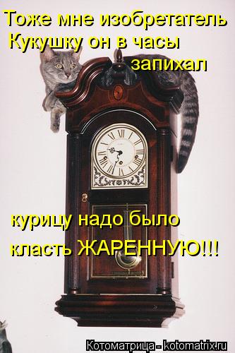Тоже мне изобретатель Кукушку он в часы запихал курицу надо было класть ЖАРЕННУЮ!!!... Котоматрица: Тоже мне изобретатель Кукушку он в часы запихал курицу надо было класть ЖАРЕННУЮ!!!