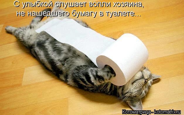 kotomatritsa_rW.jpg