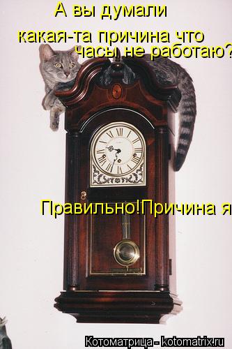 А вы думали какая-та причина что часы не работаю? Правильно!Причина я!... Котоматрица: А вы думали какая-та причина что часы не работаю? Правильно!Причина я!