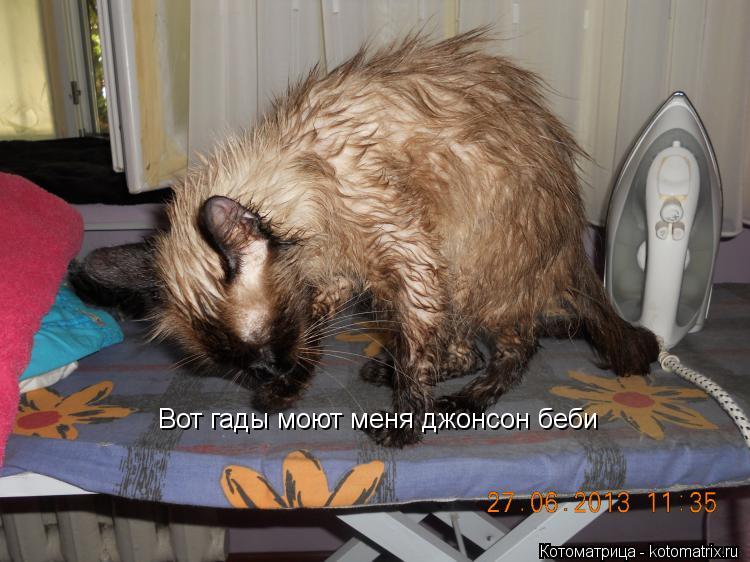 Вот гады моют меня джонсон беби... Котоматрица: Вот гады моют меня джонсон беби
