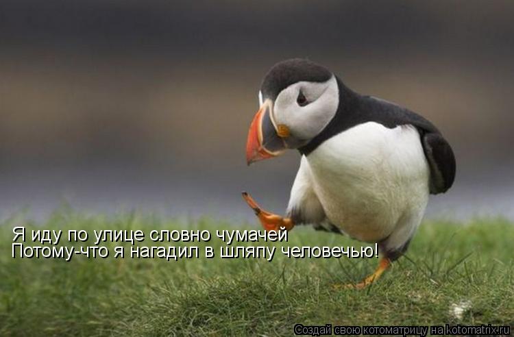 Я иду по улице словно чумачей Потому-что я нагадил в шляпу человечью!... Котоматрица: Я иду по улице словно чумачей Потому-что я нагадил в шляпу человечью!