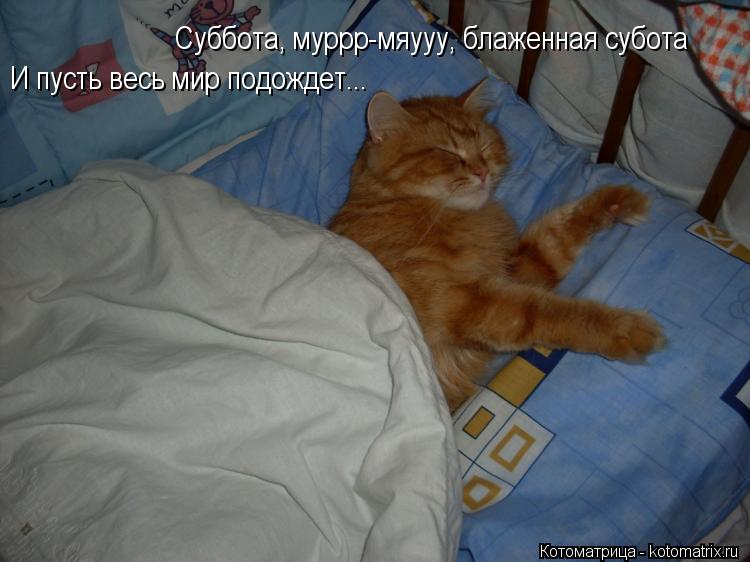 Суббота, муррр-мяууу, блаженная субота И пусть весь мир подождет...... Котоматрица: Суббота, муррр-мяууу, блаженная субота И пусть весь мир подождет...