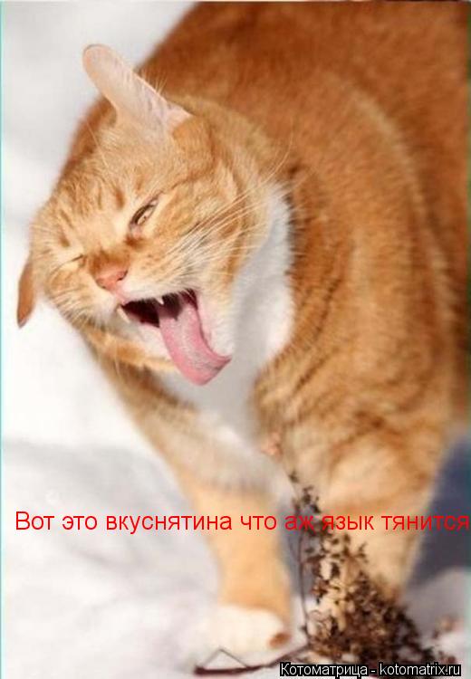 Вот это вкуснятина что аж язык тянится... Котоматрица: Вот это вкуснятина что аж язык тянится