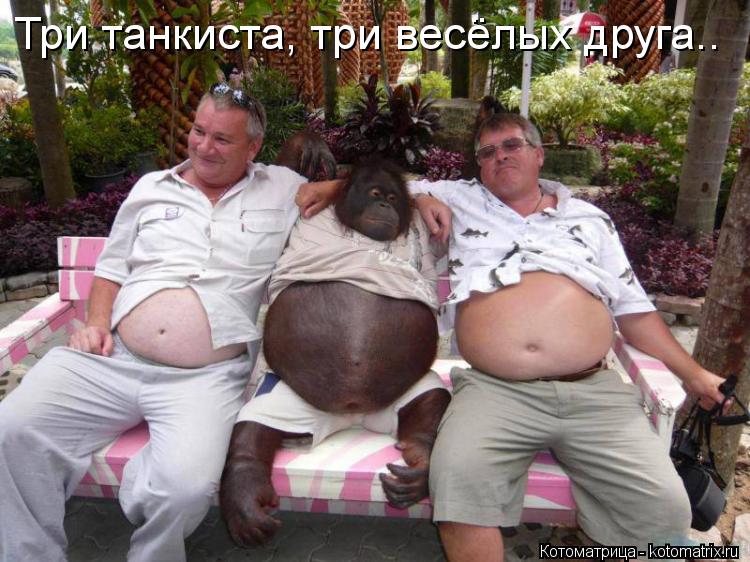 Три танкиста, три весёлых друга..... Котоматрица: Три танкиста, три весёлых друга..