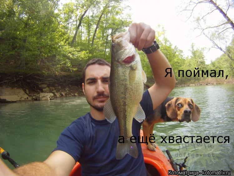 Я поймал, а ещё хвастается... Котоматрица: Я поймал, а ещё хвастается