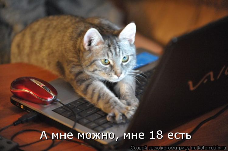 А мне можно, мне 18 есть... Котоматрица: А мне можно, мне 18 есть