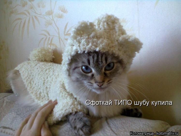 Сфоткай ТИПО шубу купила... Котоматрица: Сфоткай ТИПО шубу купила