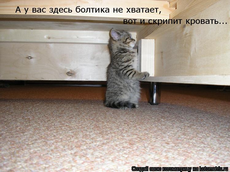 А у вас здесь болтика не хватает, вот и скрипит кровать...... Котоматрица: А у вас здесь болтика не хватает, вот и скрипит кровать...