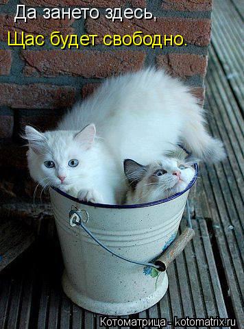 Да зането здесь, Щас будет свободно.... Котоматрица: Да зането здесь, Щас будет свободно.