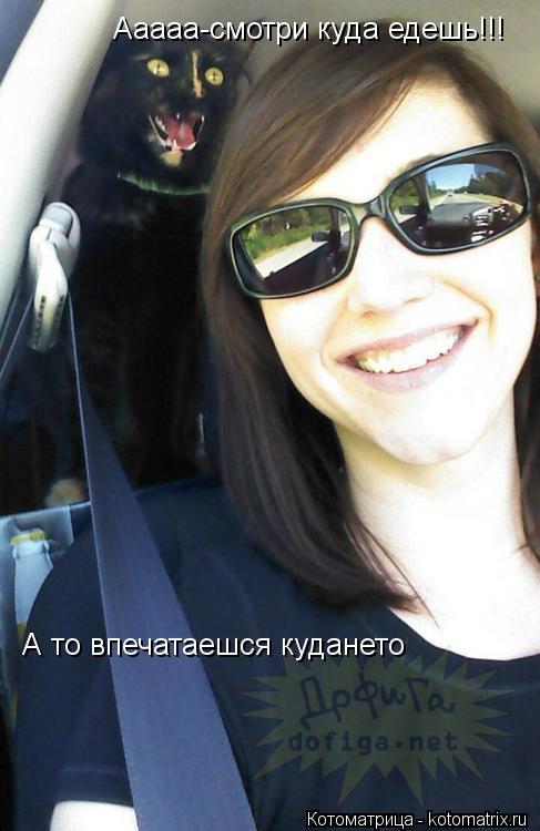 Ааааа-смотри куда едешь!!! А то впечатаешся кудането... Котоматрица: Ааааа-смотри куда едешь!!! А то впечатаешся кудането