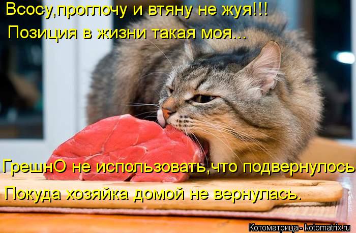 Котоматрица: Всосу,проглочу и втяну не жуя!!! Позиция в жизни такая моя... ГрешнО не использовать,что подвернулось Покуда хозяйка домой не вернулась.