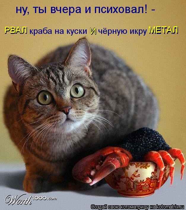 ну, ты вчера и психовал! - РВАЛ краба на куски И чёрную икру МЕТАЛ И РВАЛ МЕТАЛ... Котоматрица: ну, ты вчера и психовал! - РВАЛ краба на куски И чёрную икру МЕТАЛ И РВАЛ МЕТАЛ