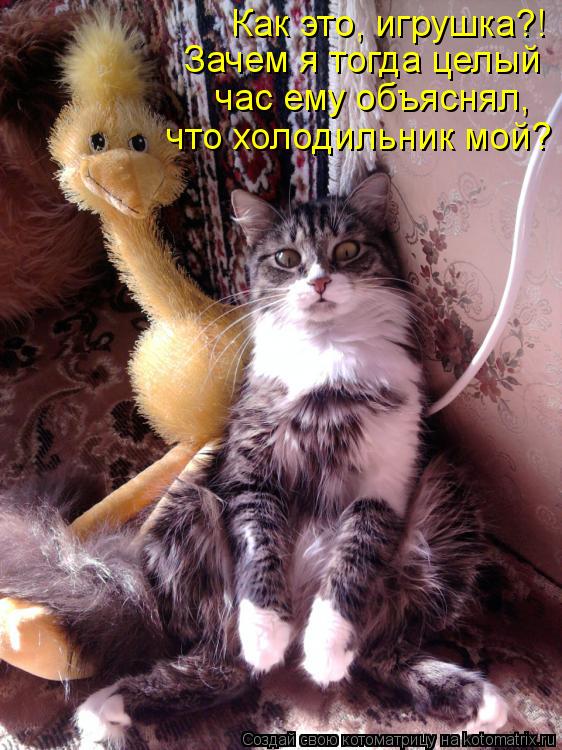 Как это, игрушка?! Зачем я тогда целый час ему объяснял, что холодильник мой?... Котоматрица: Как это, игрушка?! Зачем я тогда целый час ему объяснял, что холодильник мой?